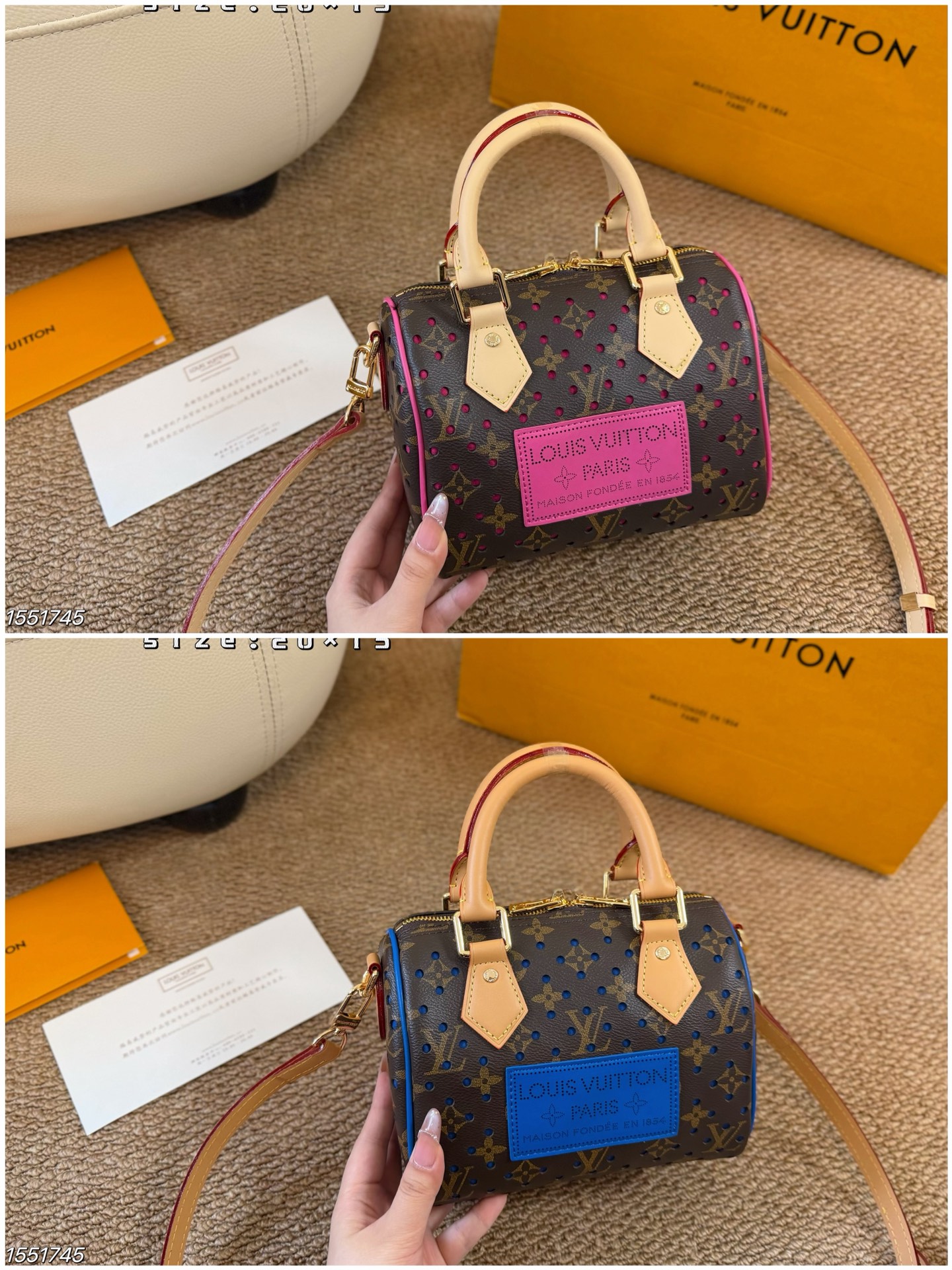 Louis Vuitton LV Speedy Pillow Bag